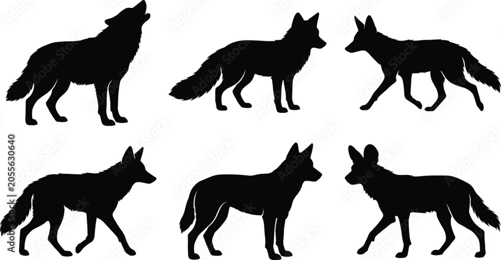 Obraz premium Wild canines silhouette collection featuring howling wolf fox coyote jackal and wild dog isolated on white background
