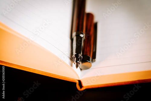 Elegant pen resting on an open book ready to capture thoughts