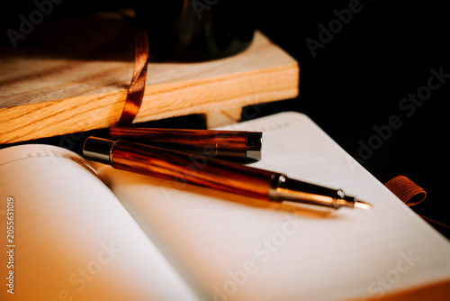 Elegant pen rests on an open journal ready for creative writing activity