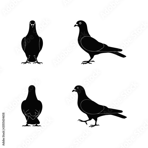Set of black pigeon silhouettes showing various angles and poses, vector illustration on white background.