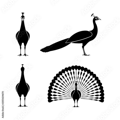 Set of black peacock silhouettes showing various poses including front, side, and fanned tail.