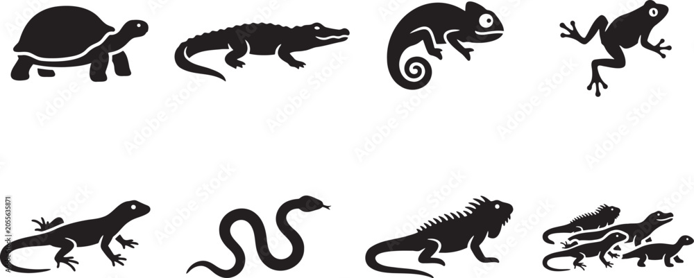 Fototapeta premium Reptiles and amphibians species icons including turtles snakes lizards