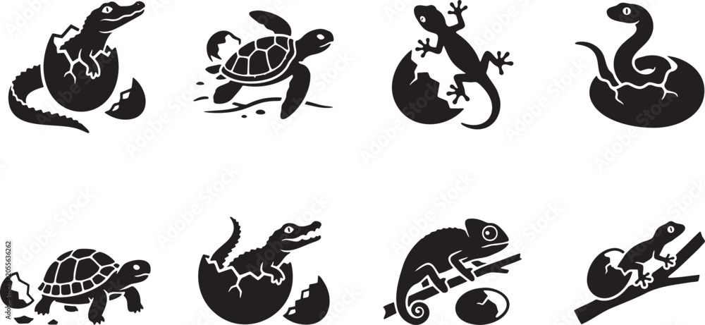 Fototapeta premium Cute baby reptiles hatching out of broken egg shells