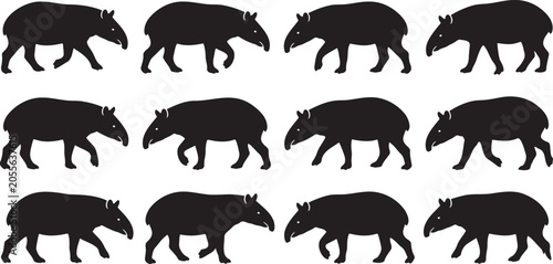фотографія Exotic wild tapir silhouettes walking and standing in profile