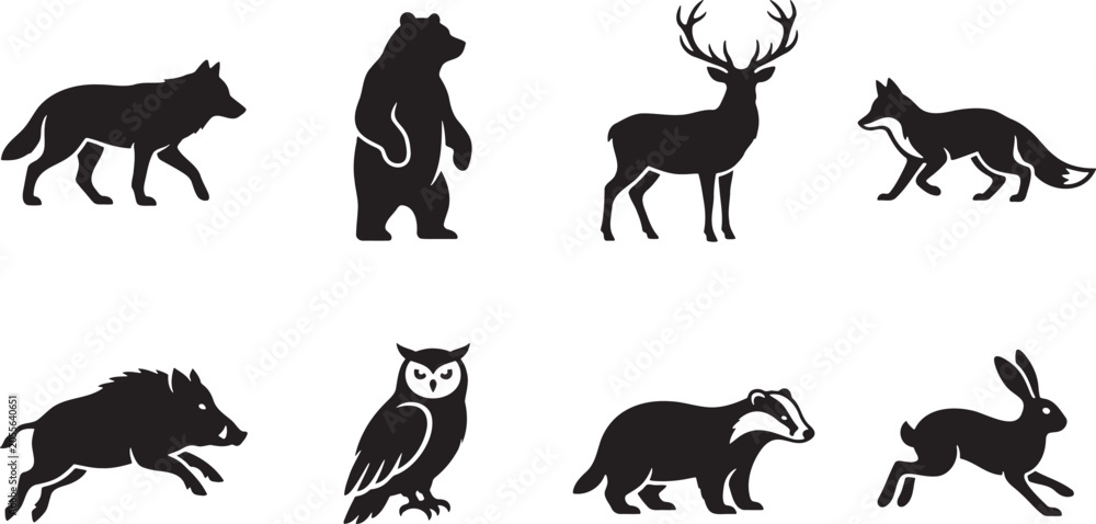 Fototapeta premium North American forest wildlife animals alert standing profile