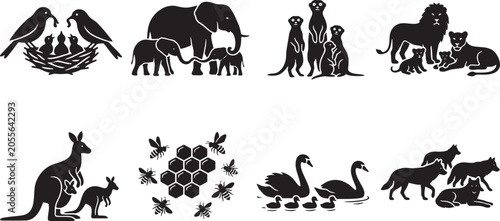 Valokuva Wild animal families and maternal nature groups set