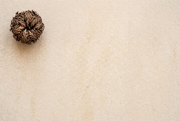 Desert rose in corner with large stone background