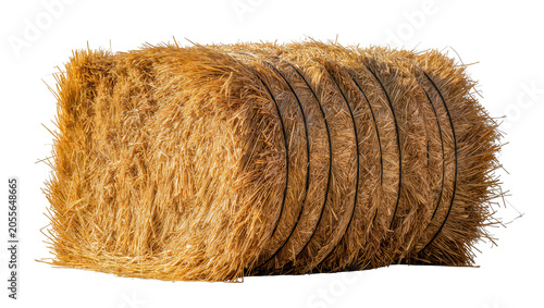 Rectangular golden hay bale with black twine straps, isolated on transparent background