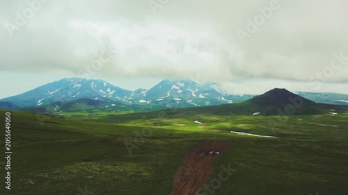 Aerial View Warm Golden Green Summer Fields and Trees