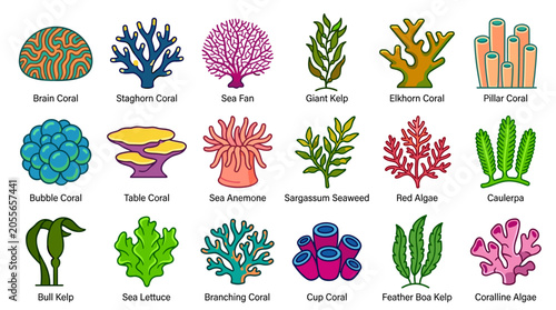 Fotografia Coral and seaweed icon set, sea marine plants collection, ocean reef elements, underwater flora