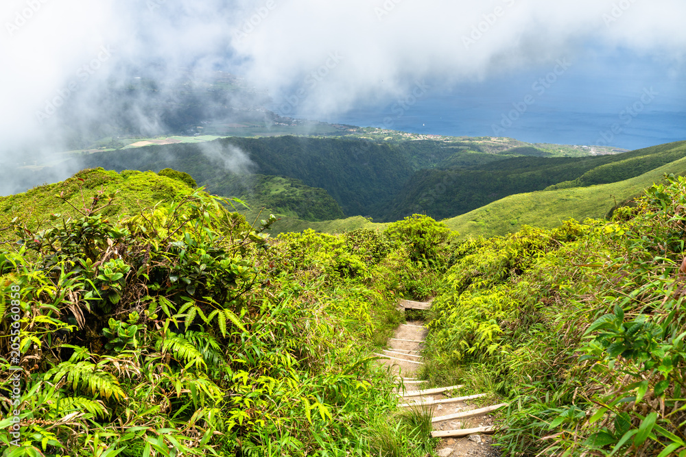 Fototapeta premium Scenic view of the Aileron hiking trail on Mount Pelee volcano with lush green slopes and ocean under clouds in Martinique, Caribbean France