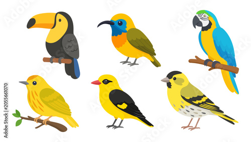 Yellow bird collection in flat style. Cute yellow bird set featuring colorful species for education, wildlife guides and learning.