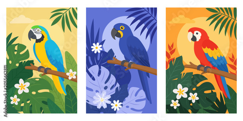 Set of three tropical macaw posters in vibrant jungle colors. Flat vector bird illustrations for nursery decor, wall art and nature themes.