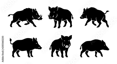 Cuadro en lienzo Wild Boar Silhouette Collection, Six Diverse Pig Poses, Vector Graphics for Wild