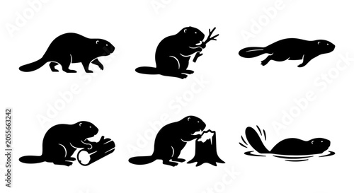 Fotografie Six Silhouette Beaver Vector Icons, Wildlife Animal Graphics, Nature Mammal Illu