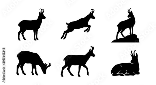 Foto Chamois Silhouette Collection: Mountain Goat Poses, Wildlife Vector Icons, Alpin