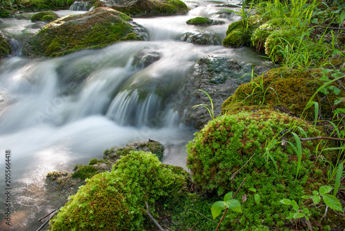 Beautiful stream of a mountain river rushing over rocks covered with moss