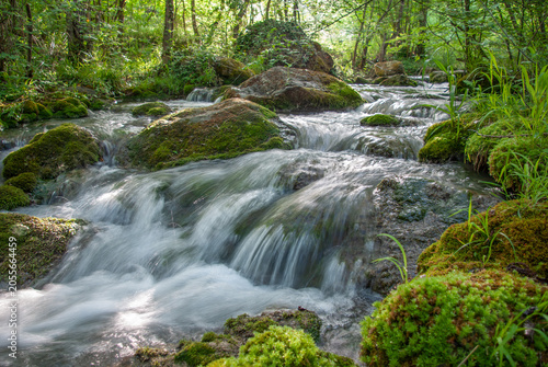 Mountain river flowing through a lush green forest over mossy boulders