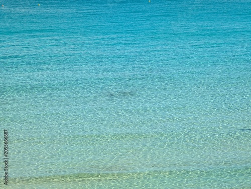 Coletania Sardegna 2025