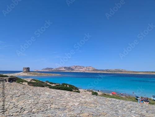 Coletania Sardegna 2025