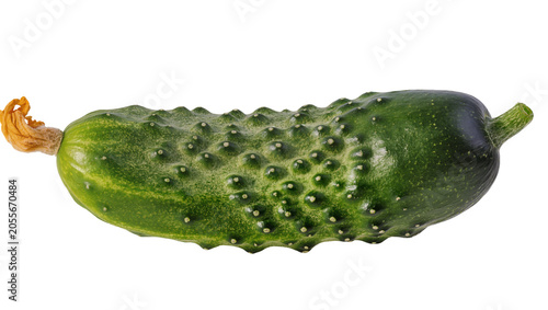 Bild auf Leinwand Fresh green bumpy cucumber with orange blossom, isolated on transparent backgrou