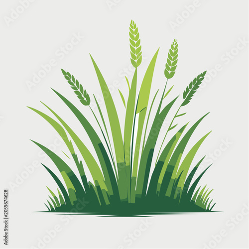 Green Grass and Wheat Stalks Illustration