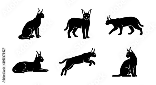 Canvas Print Caracal Cat Silhouettes, Wild Feline Vector Icons Set, African Lynx Poses Collec