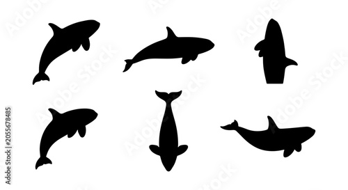 Cuadro en lienzo Orca Whale Silhouettes, Killer Whale Vector Icons Set, Marine Mammal Aquatic Wil