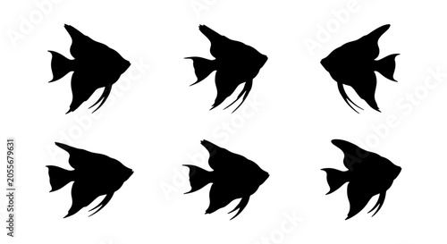 Εκτύπωση καμβά Six Black Angelfish Silhouettes, Aquatic Life Vector Icons, Marine Animal Graphi