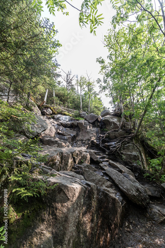 фотографія Rocky steep hiking trail up a forested mountainside with exposed boulders and ro