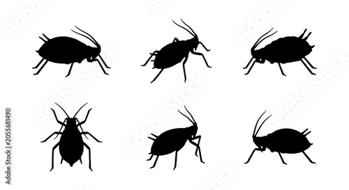 Foto Six Black Aphid Insect Silhouettes, Garden Pest Icons, Macro View of Small Bugs,