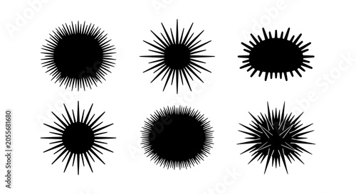 Fotografija Black Sea Urchin Vector Icons, Marine Life Silhouettes, Spiky Echinoderm Graphic
