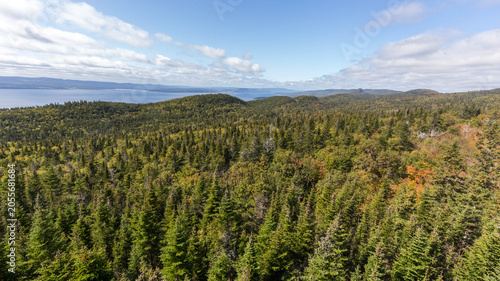 Aerial view of dense forest with autumn colors overlooking coastal hills in Gaspesie