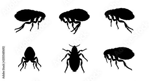 Fotografía Flea Silhouettes Vector Set: Six Insect Icons, Pest Control Graphics, Parasite I