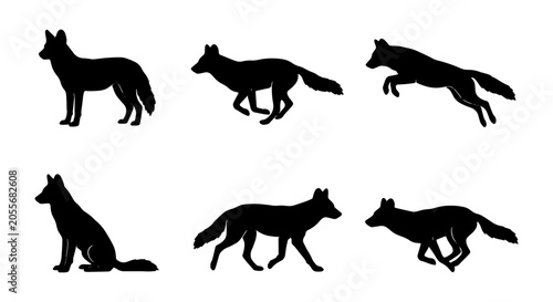 Konstfotografi Coyote Silhouettes Vector Set, Wild Animal Poses, Canine Wildlife Graphics, Natu