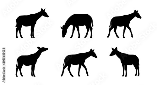 Photography Six Black Silhouette Okapi Vector Icons, Wildlife Animal Graphics, Safari Zoo Ma