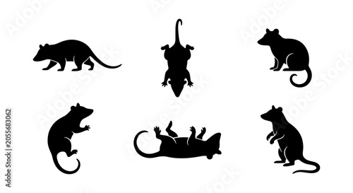 Konstfotografi Opossum Silhouette Collection, Wildlife Animal Poses Vector Set, Nocturnal Mamma