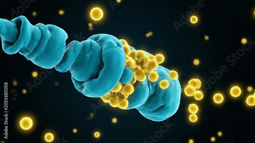 3D Visualization of ATP Synthase Molecular Motor Rotating with Energy Molecules