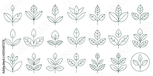 Φωτογραφία Collection of linear plant sprigs with varying leaf arrangements on a white back
