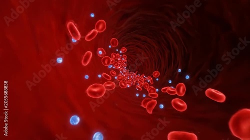 3D Visualization: Traveling Through an Artery with Red Blood Cells and Oxygen