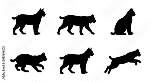 Photography Lynx Silhouette Set, Wild Cat Poses Vector Collection, Feline Animal Icons for N