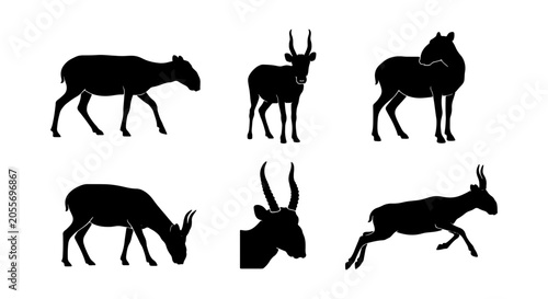 Canvas-taulu Antelope Silhouette Collection, Wildlife Vector Icons, African Safari Animals, G