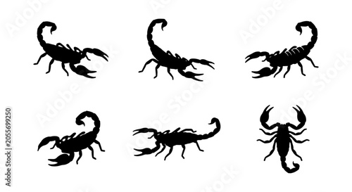 Fotografie Scorpion Silhouettes Vector Set, Black Arachnid Icons, Danger Symbol Graphics, D
