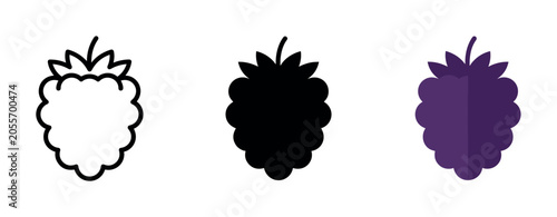 Fotografie Set of three blackberry icons in outline, solid black, and purple flat design st