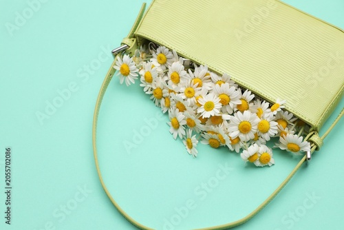 Beautiful chamomile flowers in bag on turquoise background