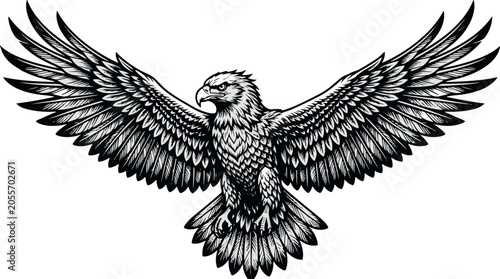 Black and white eagle with wings spread