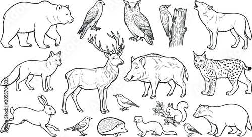 Black and white illustration of various wild animals