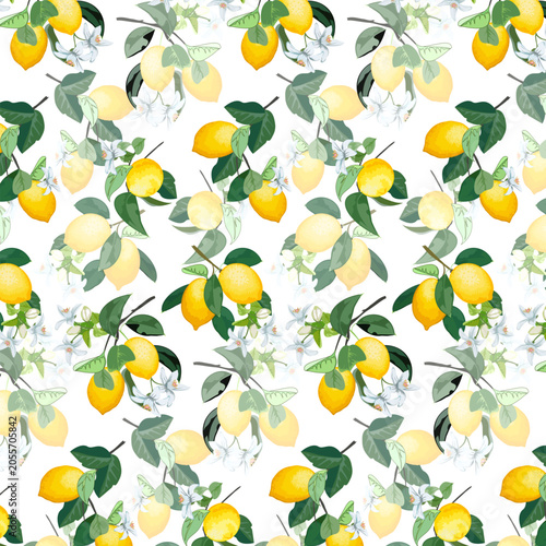 Lemons and flowers on the branches.Vector seamless pattern with lemons and flowers on transparent background.