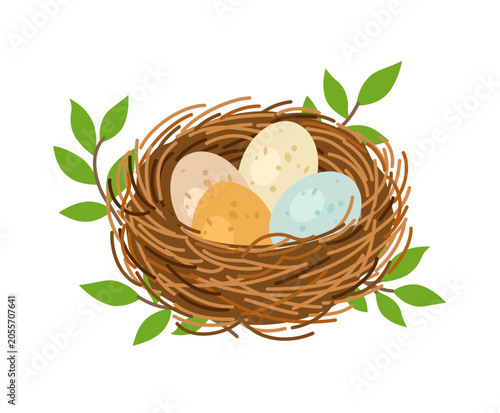 Bird Nest with Colorful Eggs and Green Leaves Isolated on White Background
