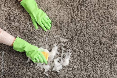 Принти на полотні Hands in green rubber gloves cleaning gray shaggy carpet with sponge and soapy f